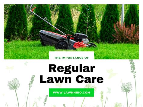 The science behind Jewel Spell's effective lawn treatments in Holtsville